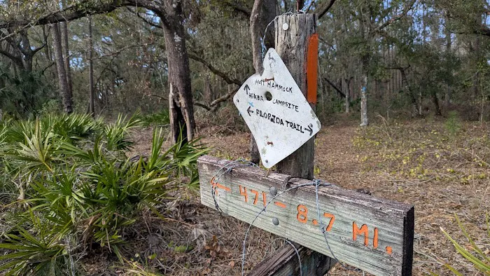 SWFWMD Mott Hammock Camp Picture 8