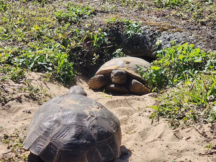 Thousand Trails Orlando Picture 5