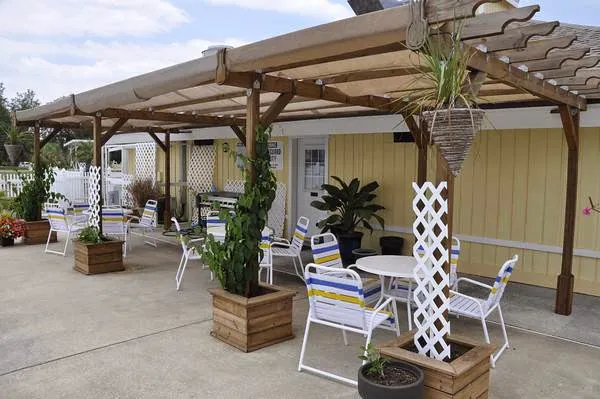 Encore Topics Picture 6