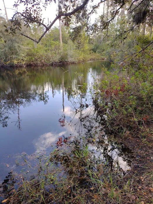 Serenova tract campground Picture 2