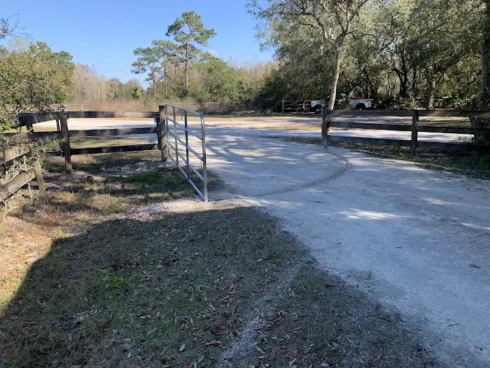 Serenova tract campground Picture 1
