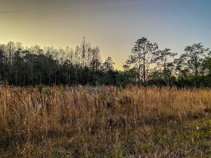 Serenova tract campground Picture 4