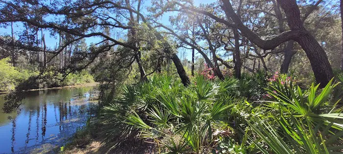 Serenova tract campground Picture 6