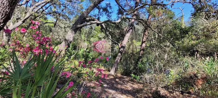 Serenova tract campground Picture 5