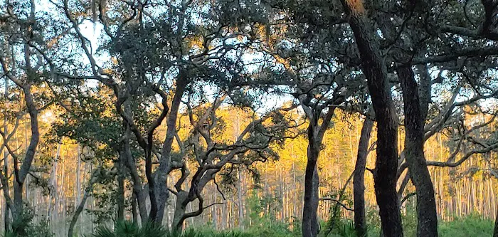 Serenova tract campground Picture 7