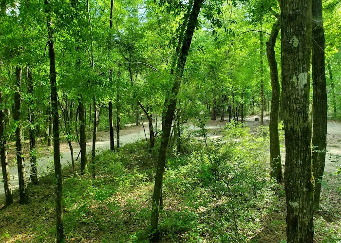 CampOut Alabama Picture 8
