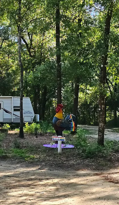 CampOut Alabama Picture 3