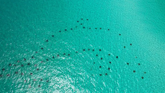 RV lot #14 and #16 by the Pool Picture 7