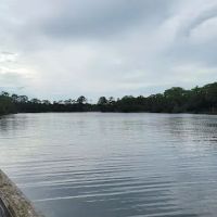 Mid Bay Shores Camp Grounds ico