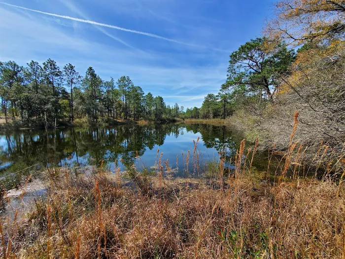 Eglin/FNST Jr Walton Pond Picture 3