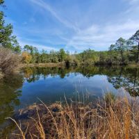Eglin/FNST Jr Walton Pond ico