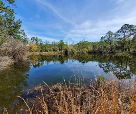 Eglin/FNST Jr Walton Pond