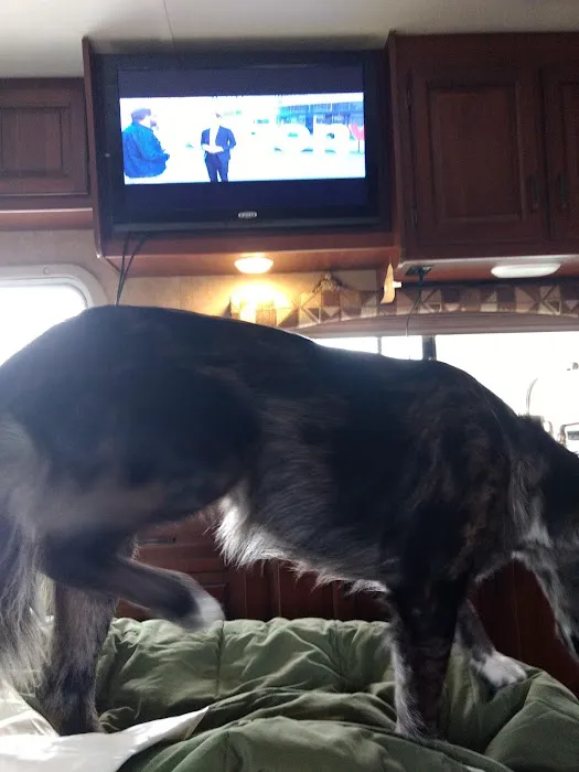 Bayview RV Campground Picture 2