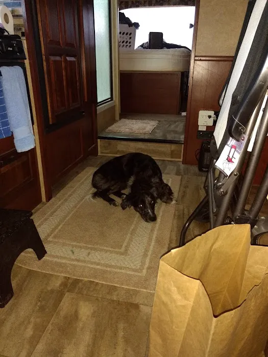 Bayview RV Campground Picture 3