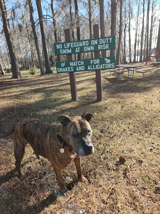 Florala City Park Picture 9