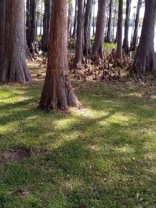 Florala City Park Picture 1