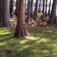 Florala City Park ico