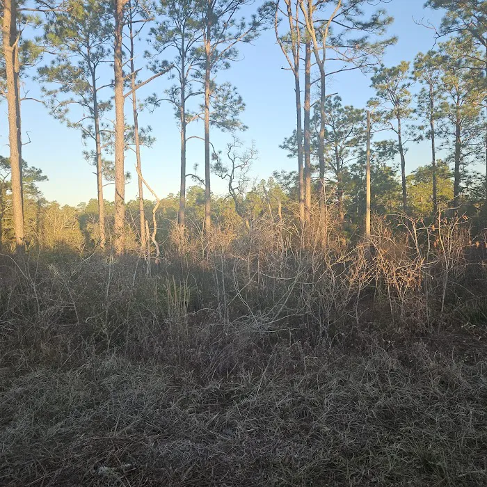 Kepner Campground - Eglin Picture 3