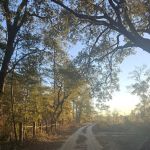Kepner Campground - Eglin