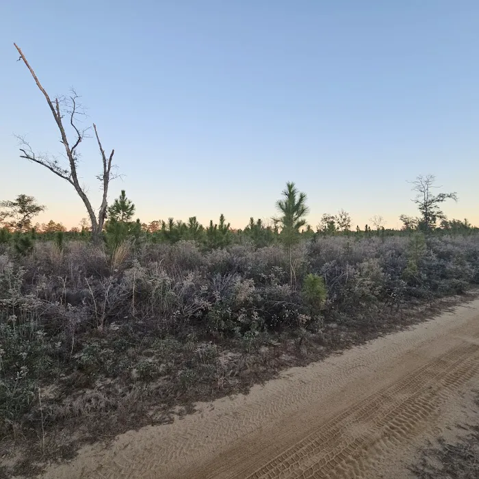 Kepner Campground - Eglin Picture 4