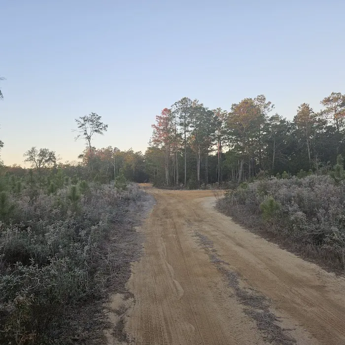 Kepner Campground - Eglin Picture 6