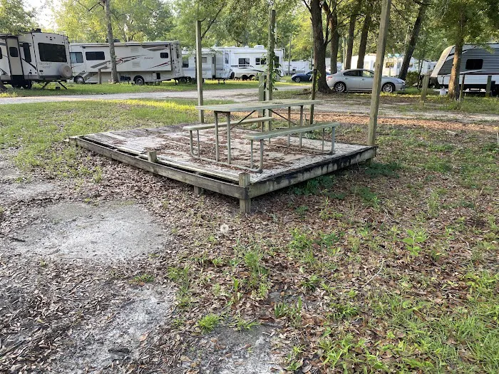 Tallahassee East Campground Picture 5