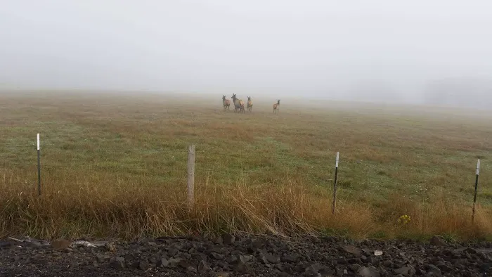 A Campers World Picture 3