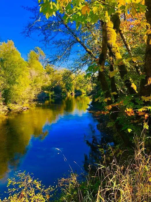 A Campers World Picture 7