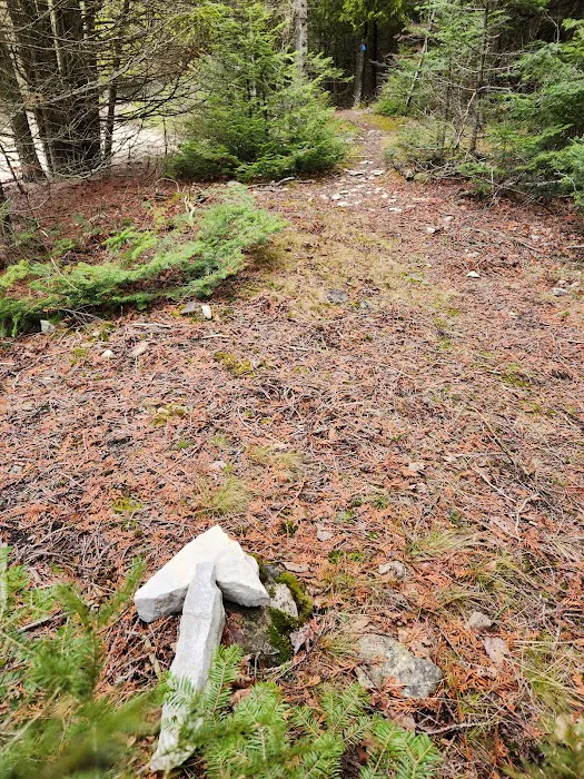 Portage Bay State Campground Picture 4