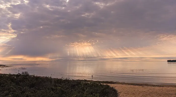 Portage Bay State Campground Picture 9