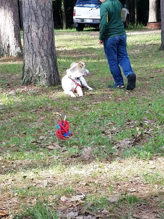 Pioneer Trail Park Picture 4