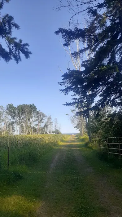 Park Place of the North Picture 2