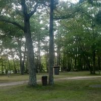 Park Place of the North ico