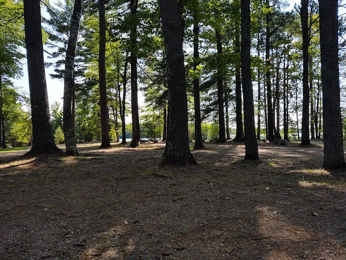 Little Lake State Forest Campground Picture 3