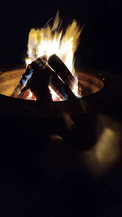 Little Lake State Forest Campground Picture 5