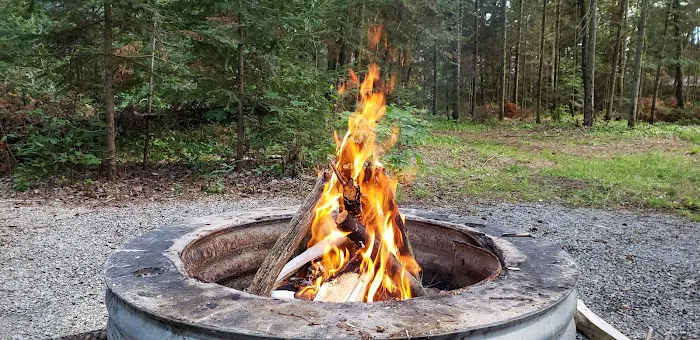 Little Lake State Forest Campground Picture 4