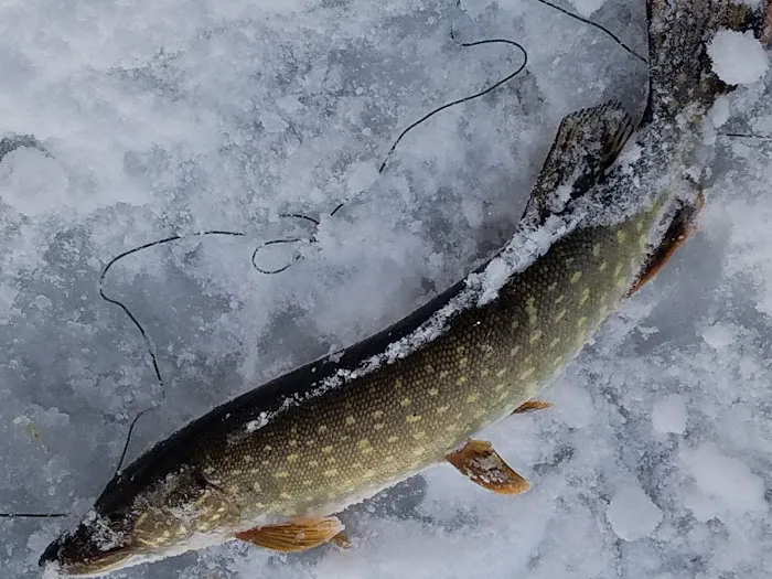 Camp Kirkwood Picture 6