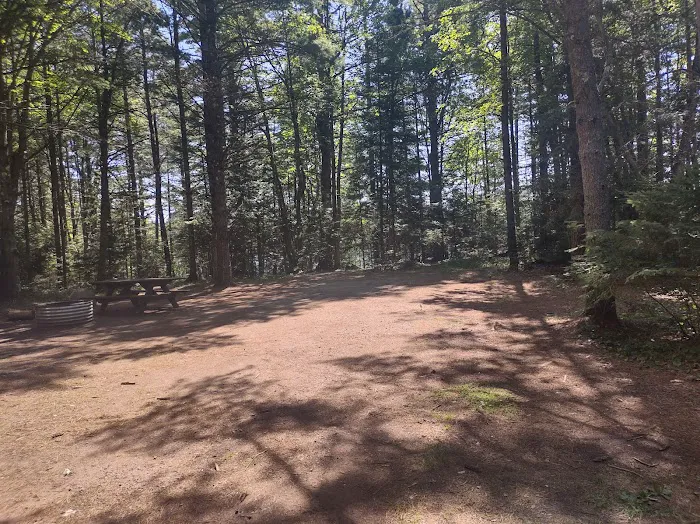 Anderson Lake West State Forest Campground Picture 6