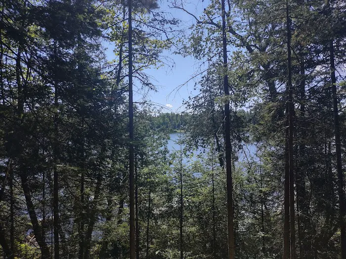 Anderson Lake West State Forest Campground Picture 7