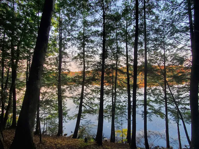 Richardson Lake Campground Picture 10