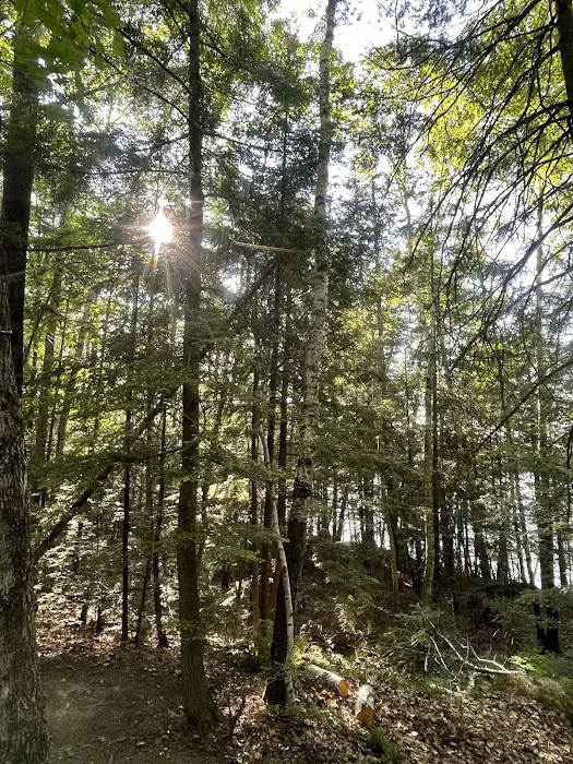 Richardson Lake Campground Picture 7