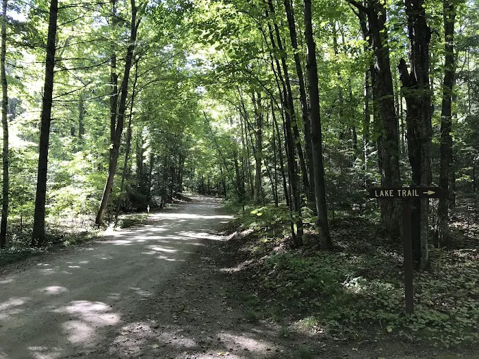 Richardson Lake Campground Picture 6