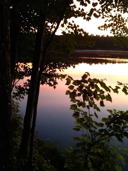 Himley Lake Campsites Picture 7