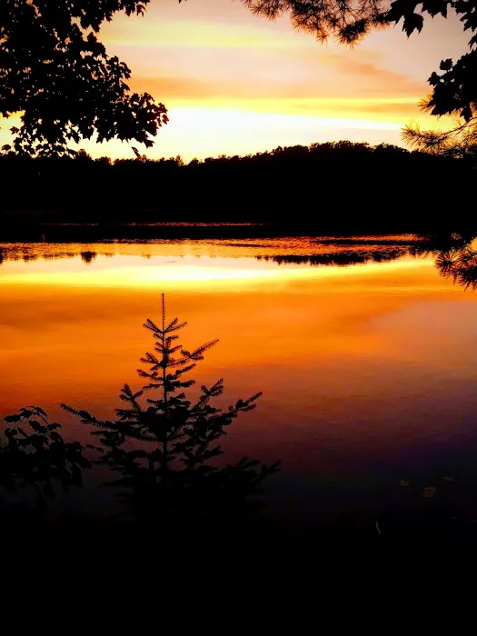 Himley Lake Campsites Picture 5