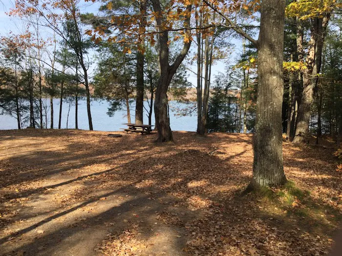 Himley Lake Campsites Picture 2