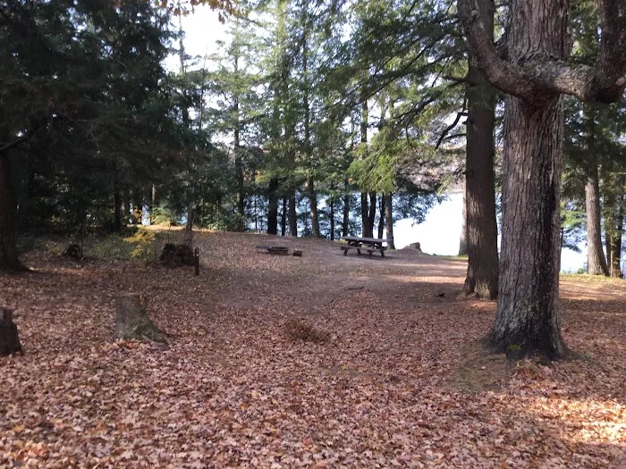 Himley Lake Campsites Picture 8