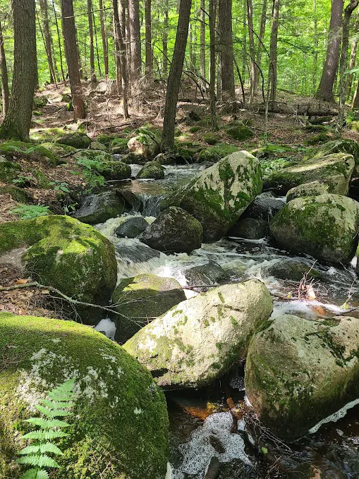 McClintock Campground Picture 4