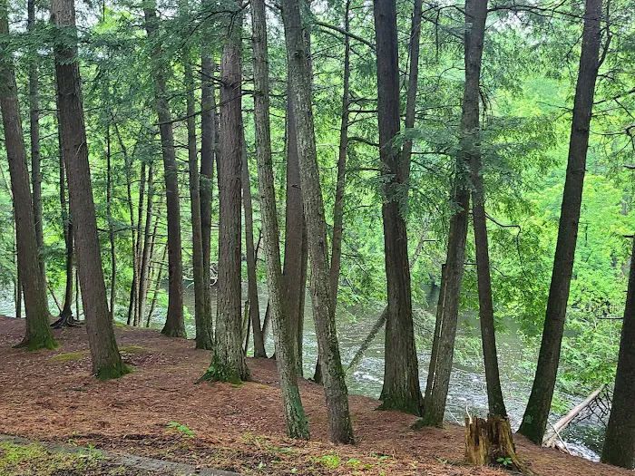 McClintock Campground Picture 7