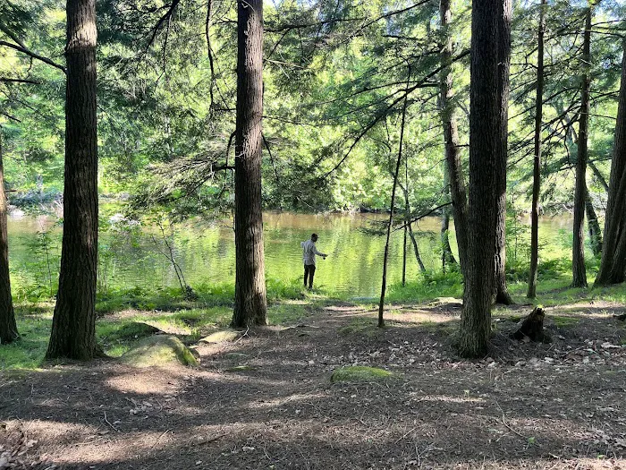 McClintock Campground Picture 6