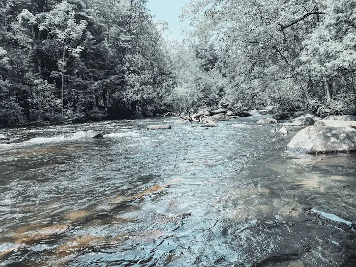 McClintock Campground Picture 5